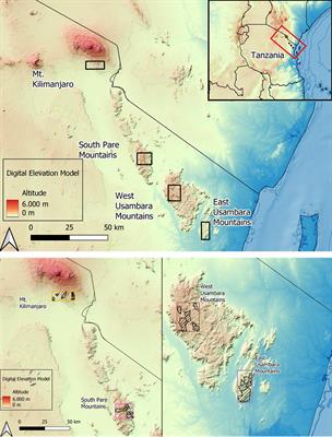 Salient features and ecosystem services of tree species in mountainous indigenous agroforestry systems of North-Eastern Tanzania